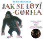 Skoumalova Gorila baví i po dvaceti letech