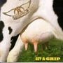 Get a Grip - recenze