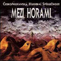 Mezi horami
