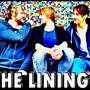 The Linings