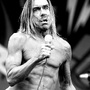 Iggy Pop