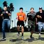 Zebrahead