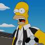 K Ice Bucket Challenge se připojil i Homer Simpson