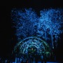 Tři dny drum & bassu v magickém údolí pod širým nebem, to je Darkshire Festival in the Valley