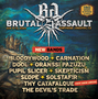 Nejnovějším přírůstkům do sestavy festivalu Brutal Assault vévodí islandští Sólstafir
