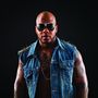 Flo Rida si na novém singlu zarapoval s Pitbullem