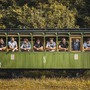 Poletíme? Ano, k oslavám narozenin  a prvnímu živáku!
