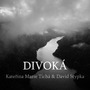  Kateřina Marie Tichá vydává třetí píseň z debutového alba a zároveň jediný duet Divoká, který nazpívala s Davidem Stypkou
