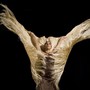 Žhavé Flamenco rozpálí Prahu 