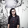 Skrillex svůj debut dokonale utajil