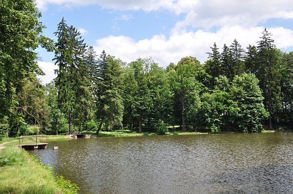 Lesopark ve Světlé nad Sázavou